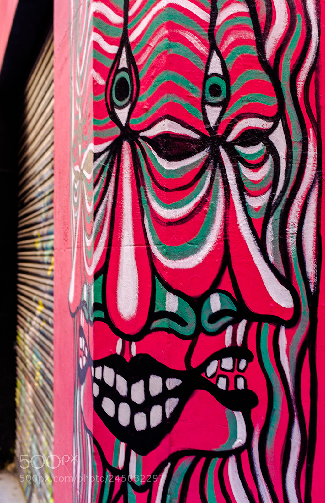 Fujifilm X100F sample photo. Local street art valencian photography
