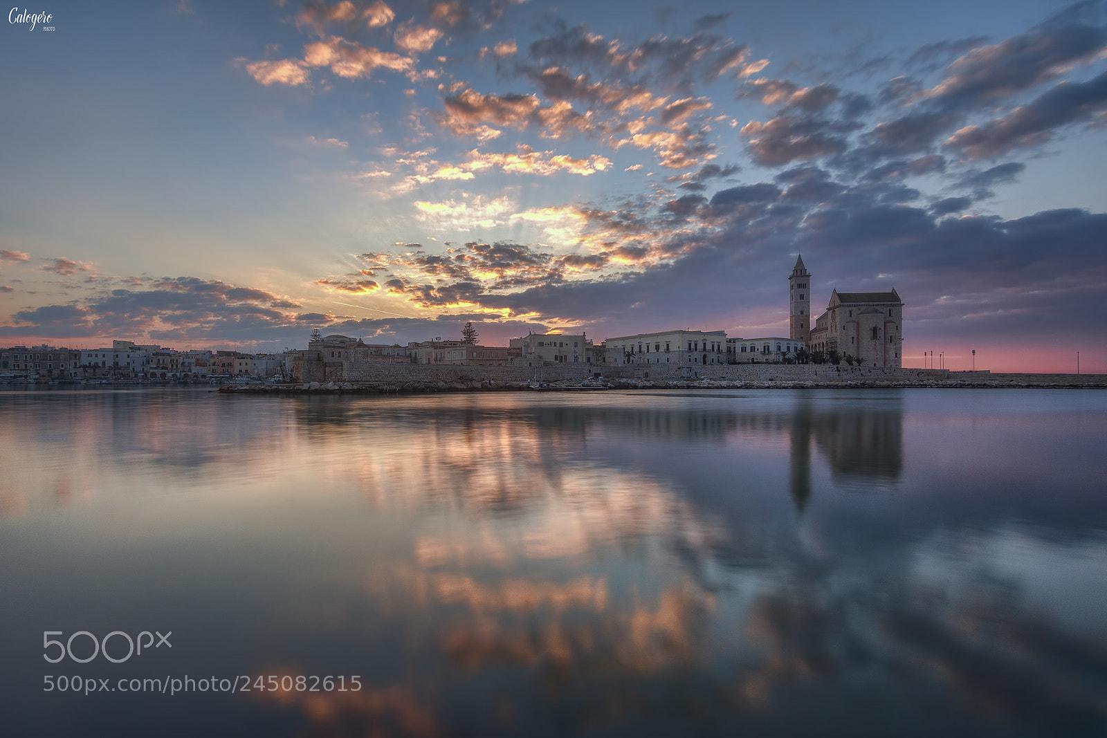 Nikon D7200 sample photo. Esplosione di colori photography
