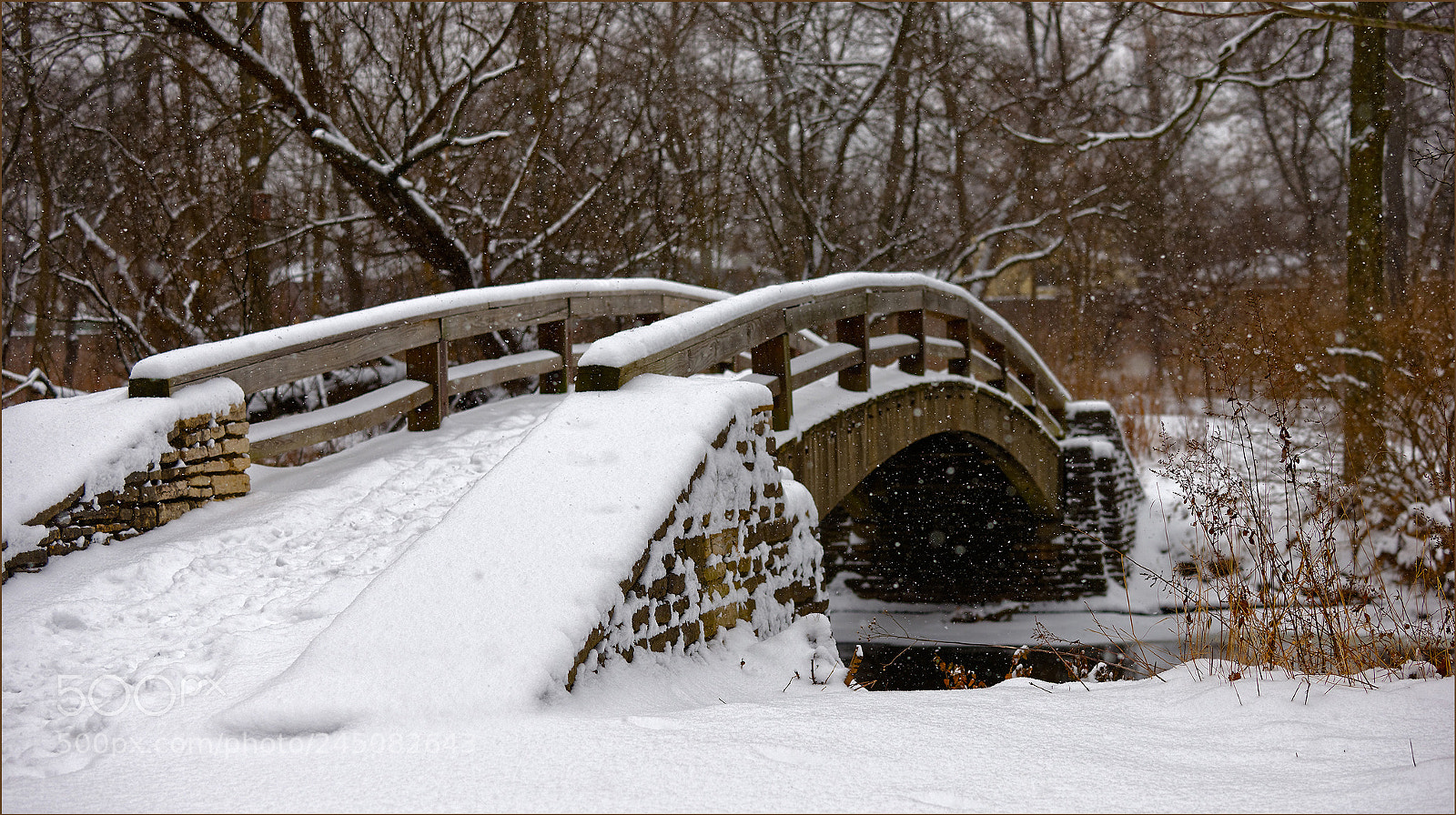 Nikon D800E sample photo. Blizzard at pioneer park photography