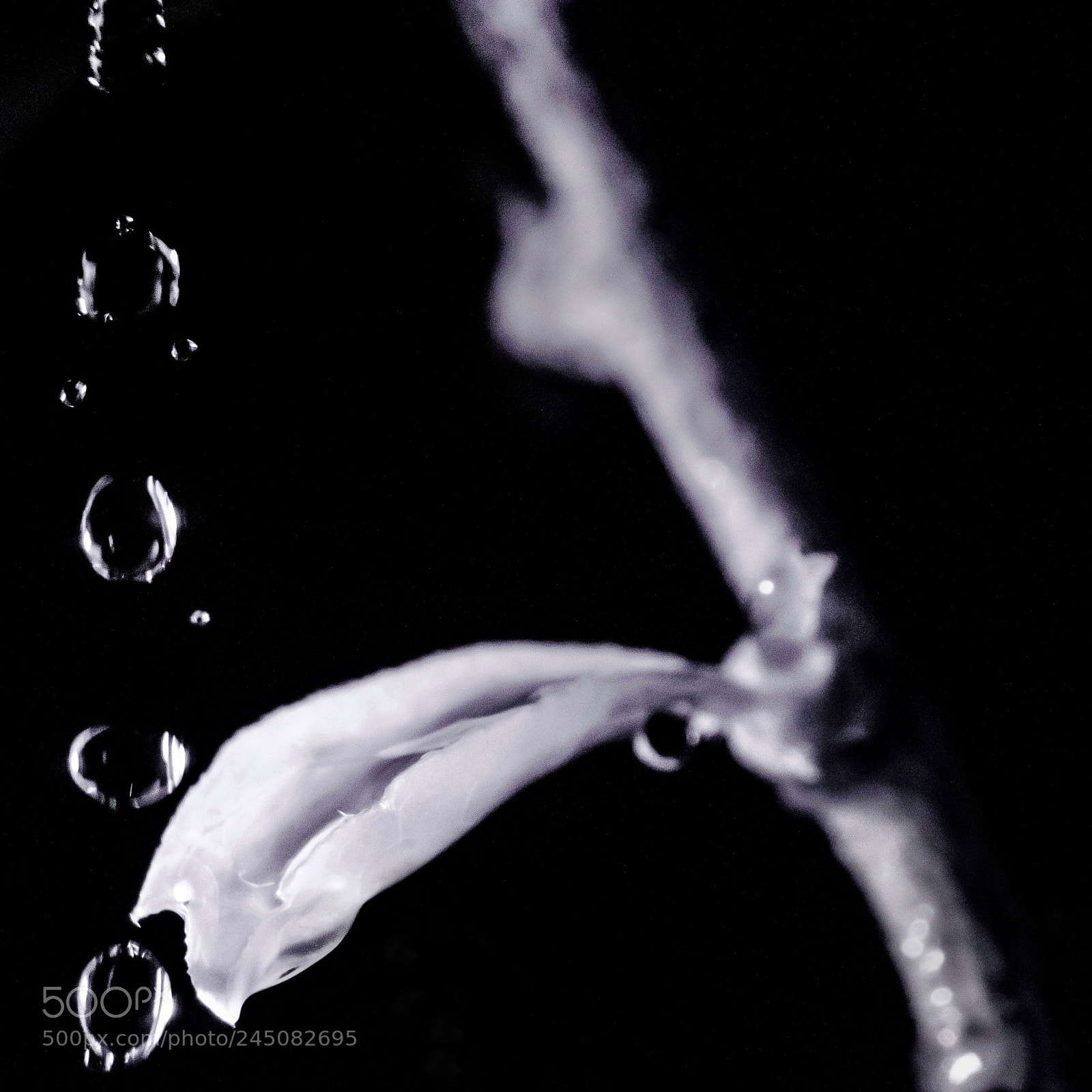 Nikon D5100 sample photo. Gocce foglia ir850 photography