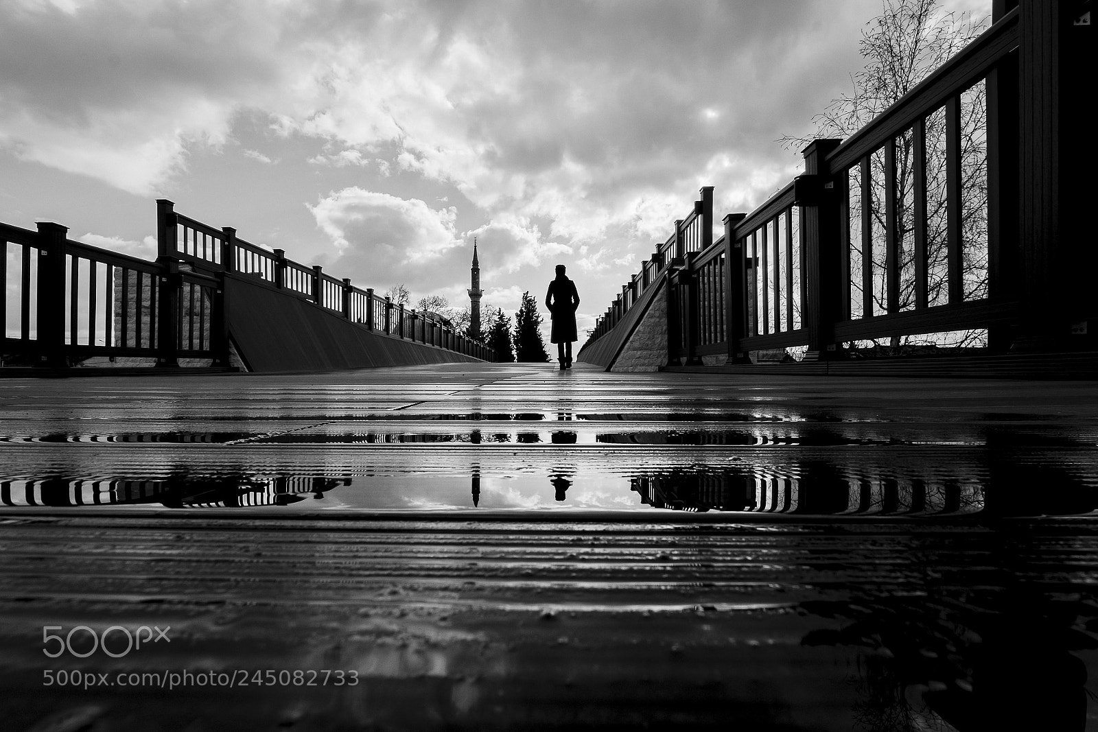 Fujifilm X-T1 sample photo. On the bridge photography