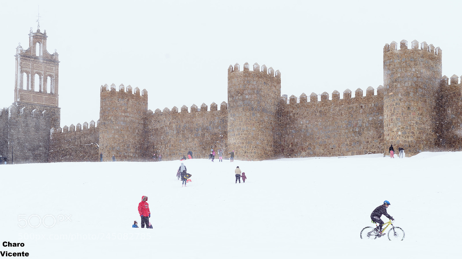 Nikon D610 sample photo. It's snowing without stopping photography