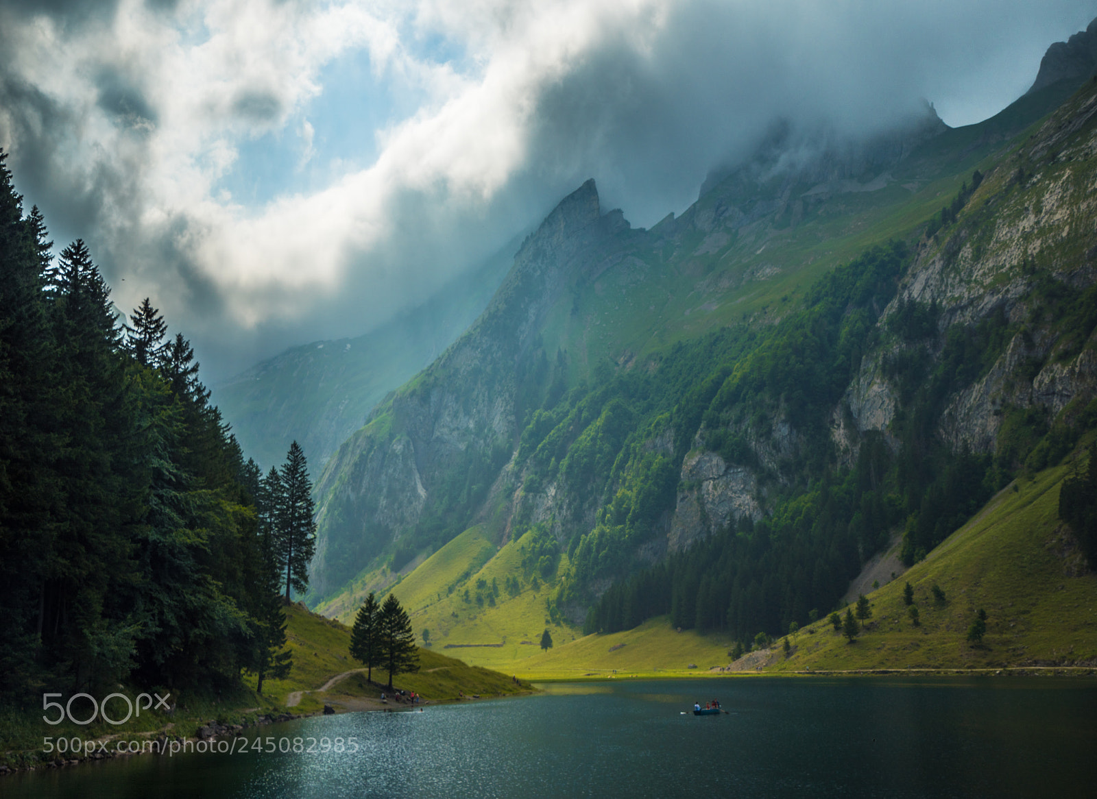 Sony a7R sample photo. A wild world photography