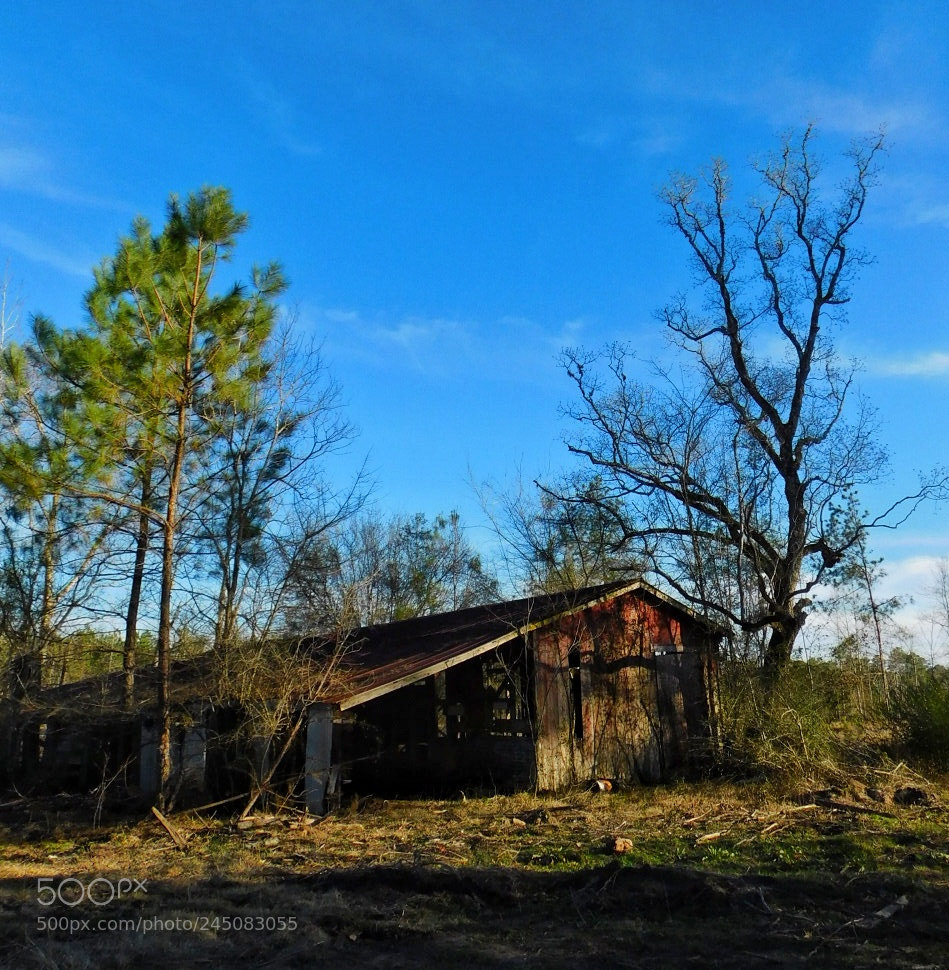Nikon Coolpix B500 sample photo. Abandoned shed on the photography
