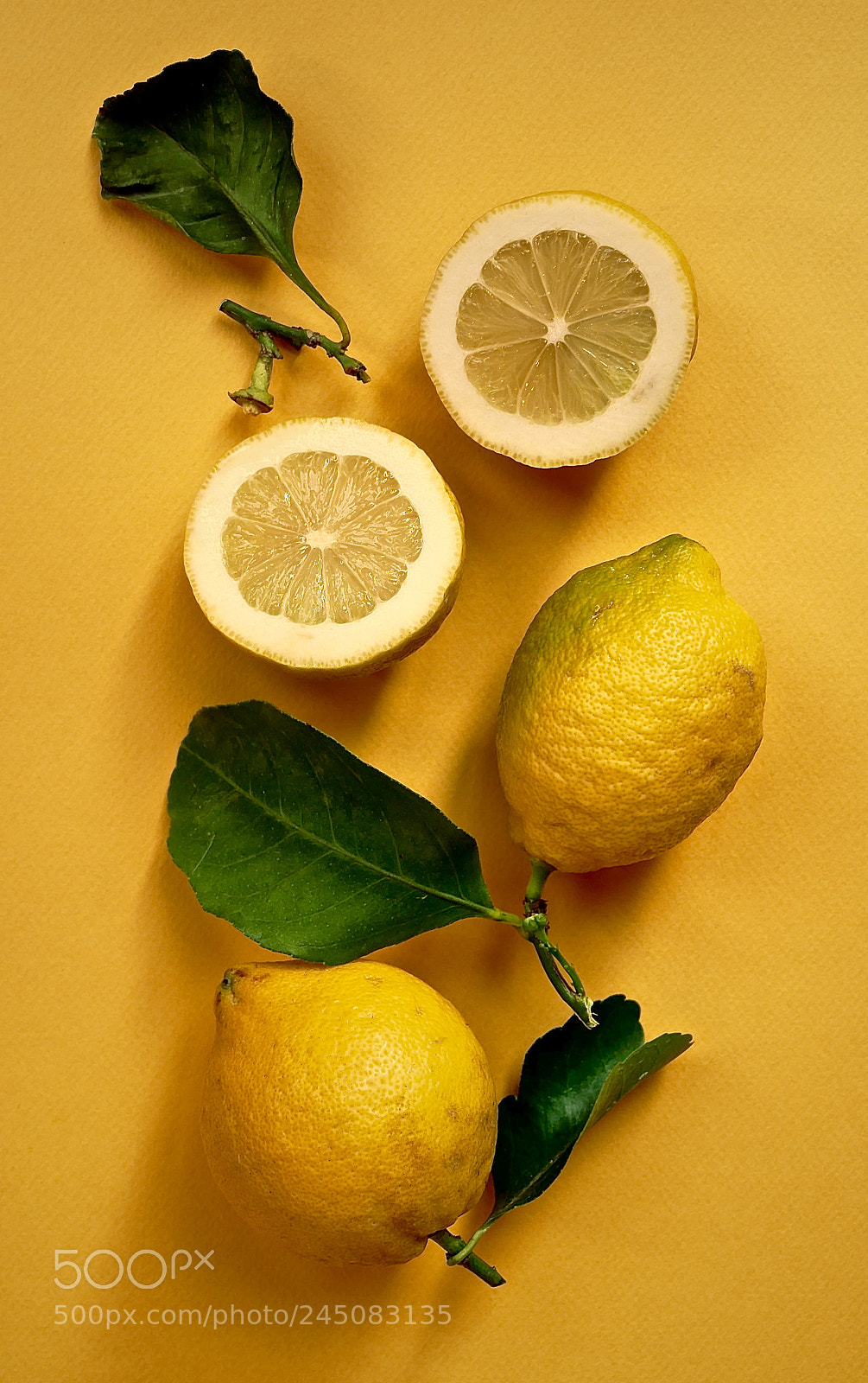 Panasonic Lumix DMC-GX85 (Lumix DMC-GX80 / Lumix DMC-GX7 Mark II) sample photo. Yellow photography