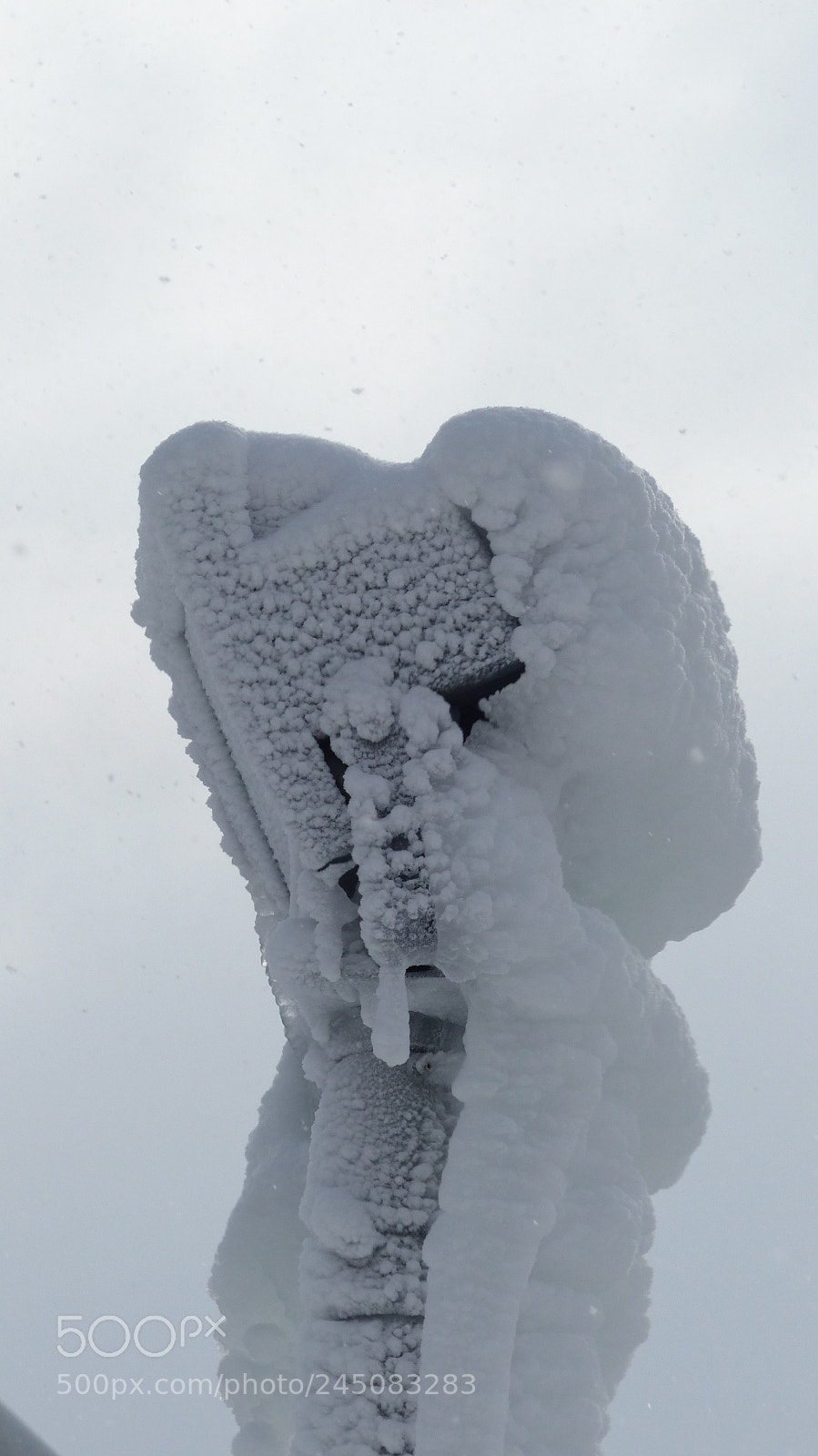Panasonic Lumix DMC-FZ200 sample photo. Ice ice baby photography