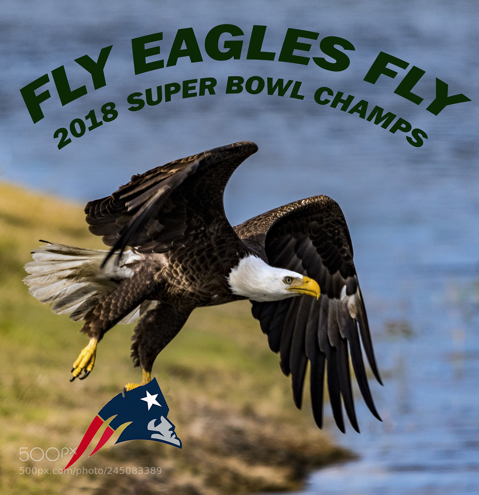 Canon EOS 7D Mark II sample photo. Fly eagles fly photography