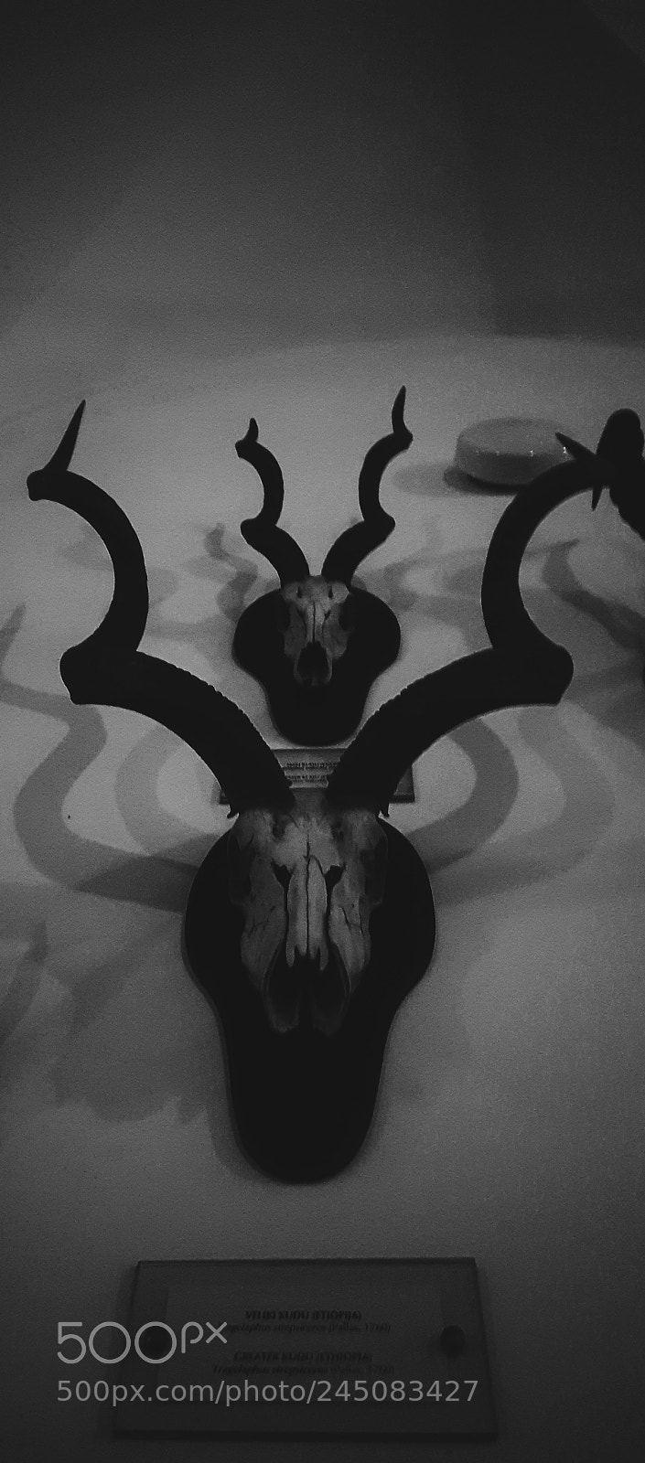 Samsung Galaxy S6 sample photo. Untitled photography