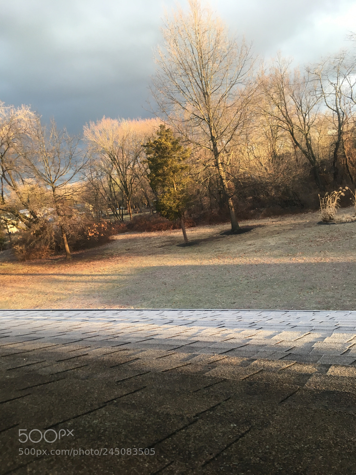 Apple iPhone SE sample photo. Morning frost photography