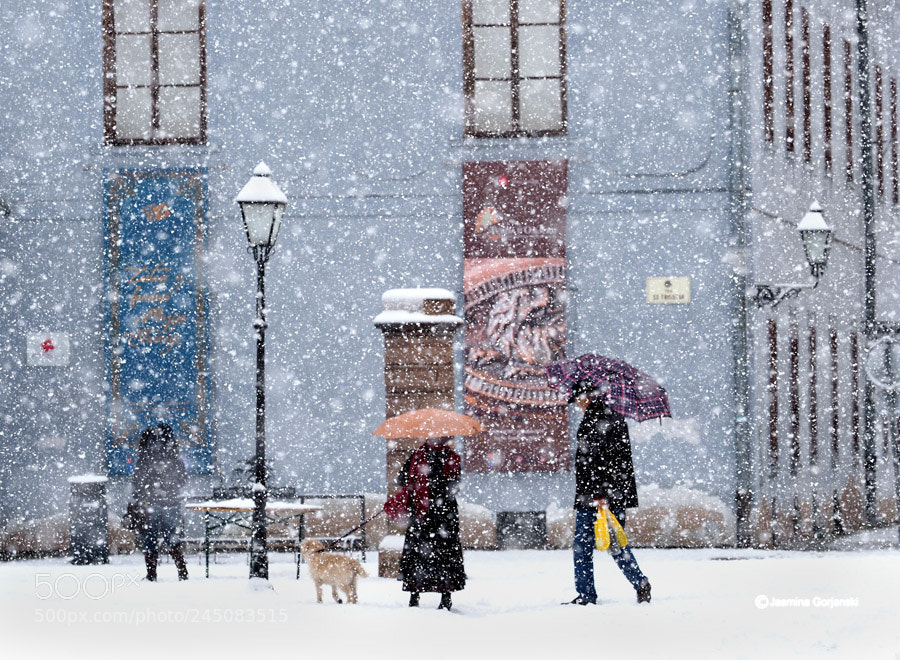 Olympus OM-D E-M1 Mark II sample photo. Snow day in the photography