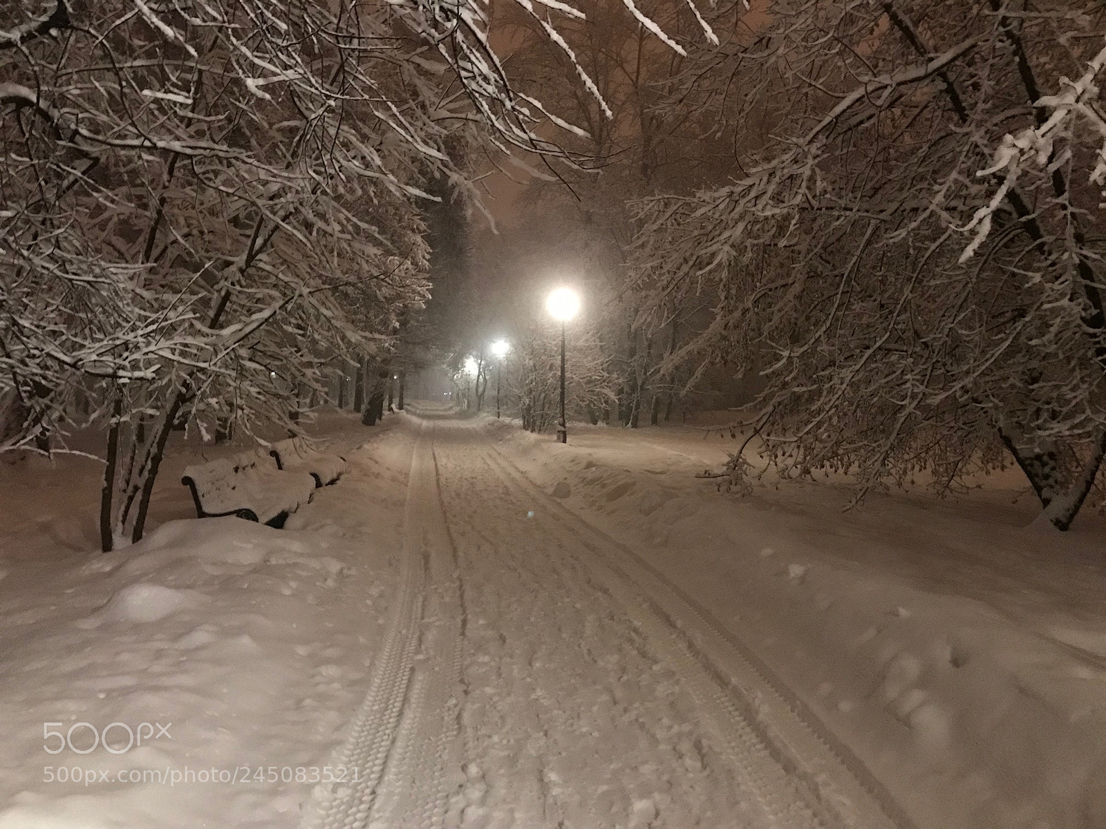 Apple iPhone 7 sample photo. Moscow. park photography