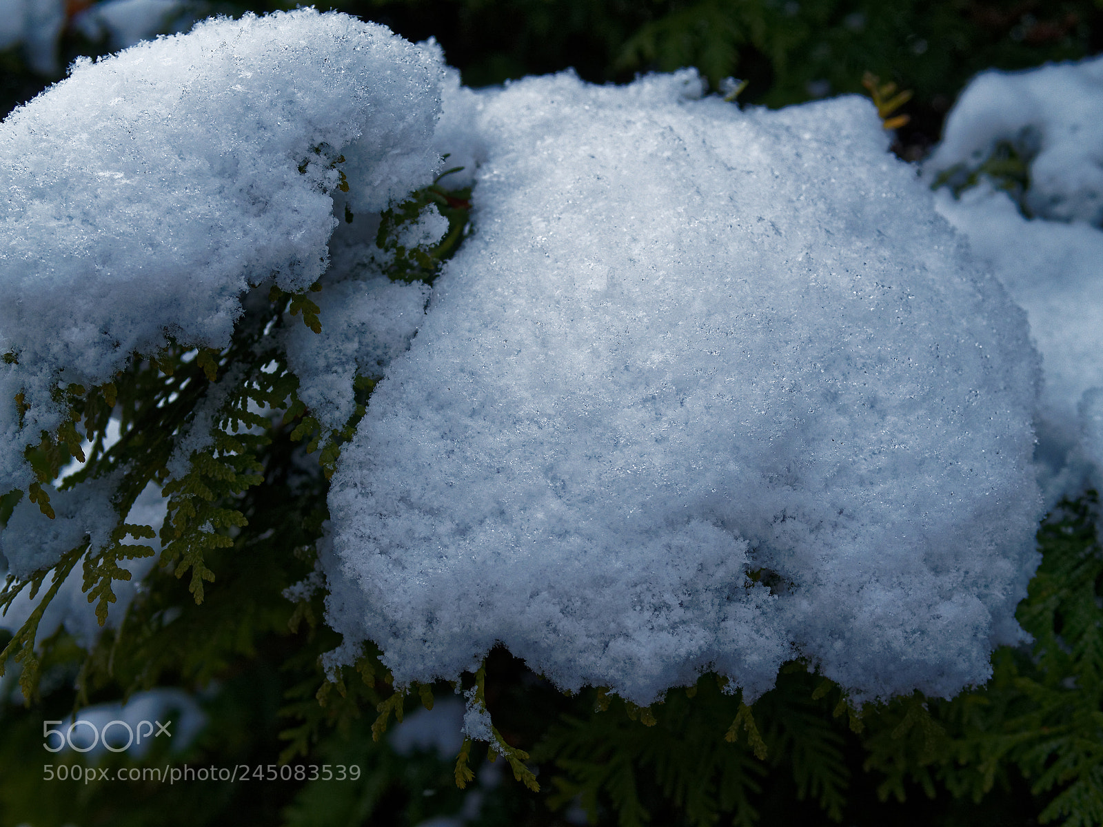 Olympus OM-D E-M5 sample photo. Bs-heidberg, "schneeflocken" photography