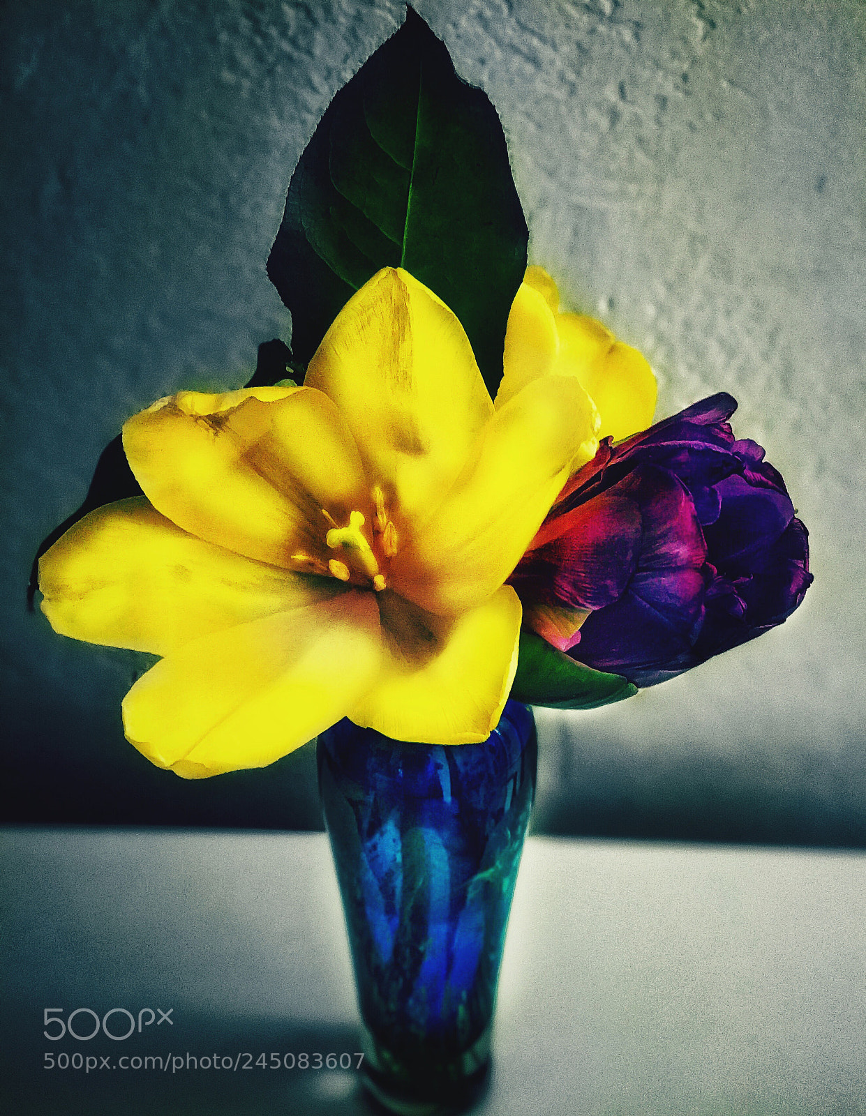 Apple iPhone 7 Plus sample photo. Untitled photography