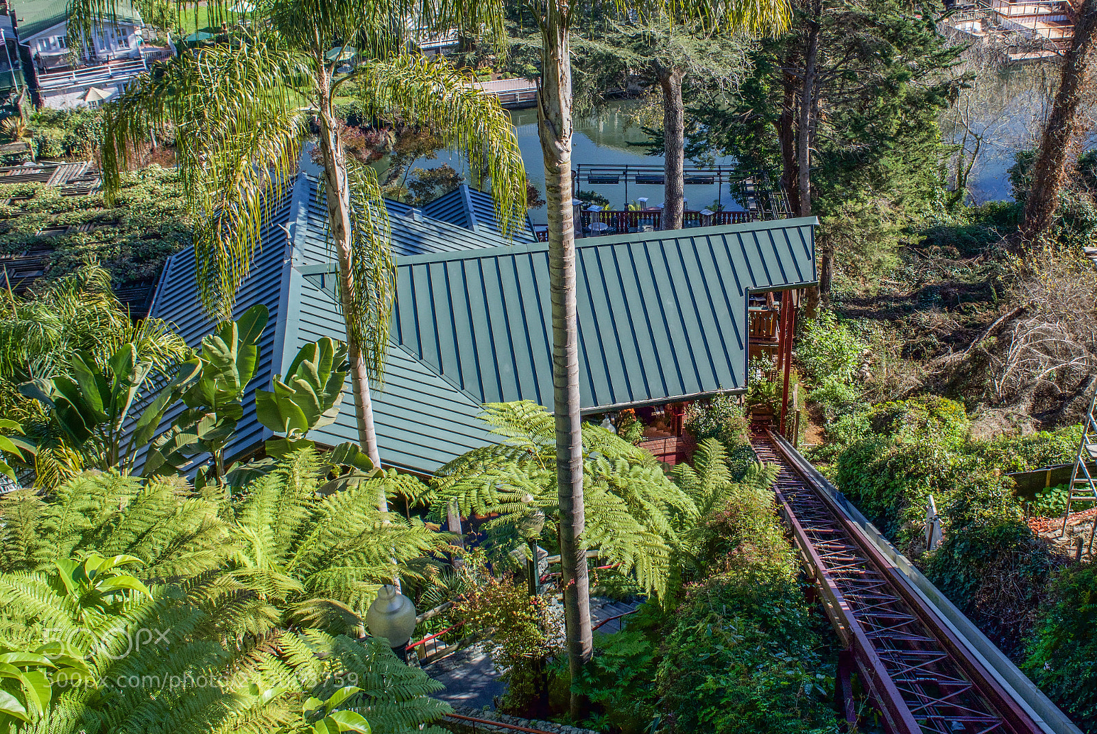 Nikon D7200 sample photo. Shadowbrook restaurant > capitola, california photography