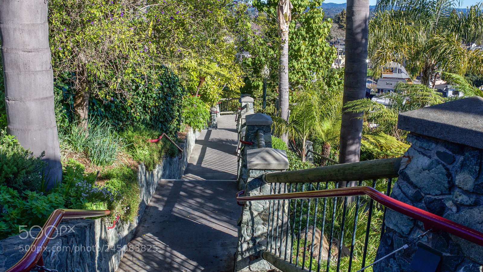 Nikon D7200 sample photo. Shadowbrook restaurant > capitola, california photography
