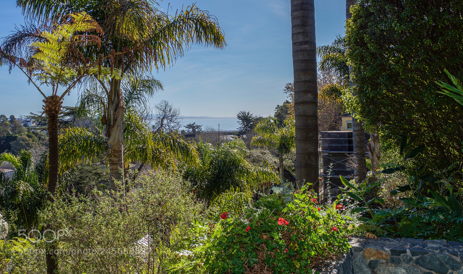 Nikon D7200 sample photo. Shadowbrook restaurant > capitola, california photography