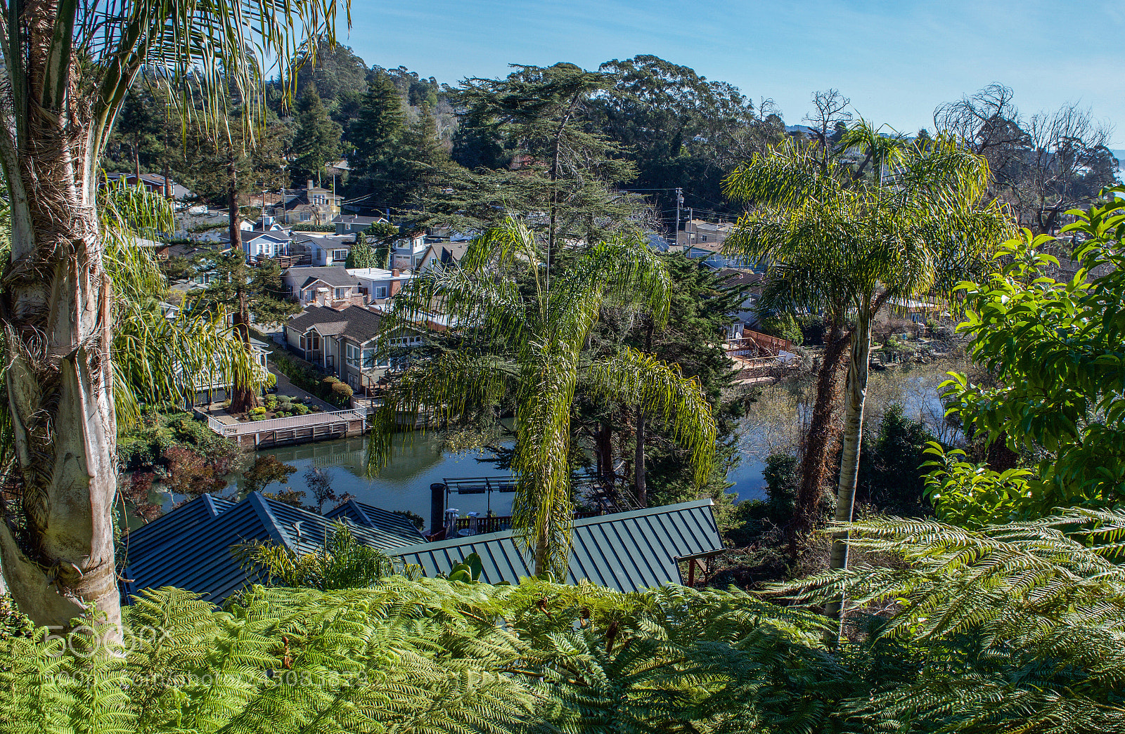 Nikon D7200 sample photo. Shadowbrook restaurant > capitola, california photography