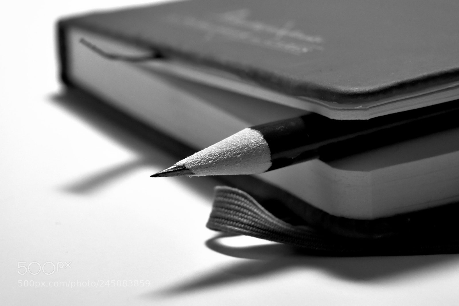Nikon D5500 sample photo. The diary photography