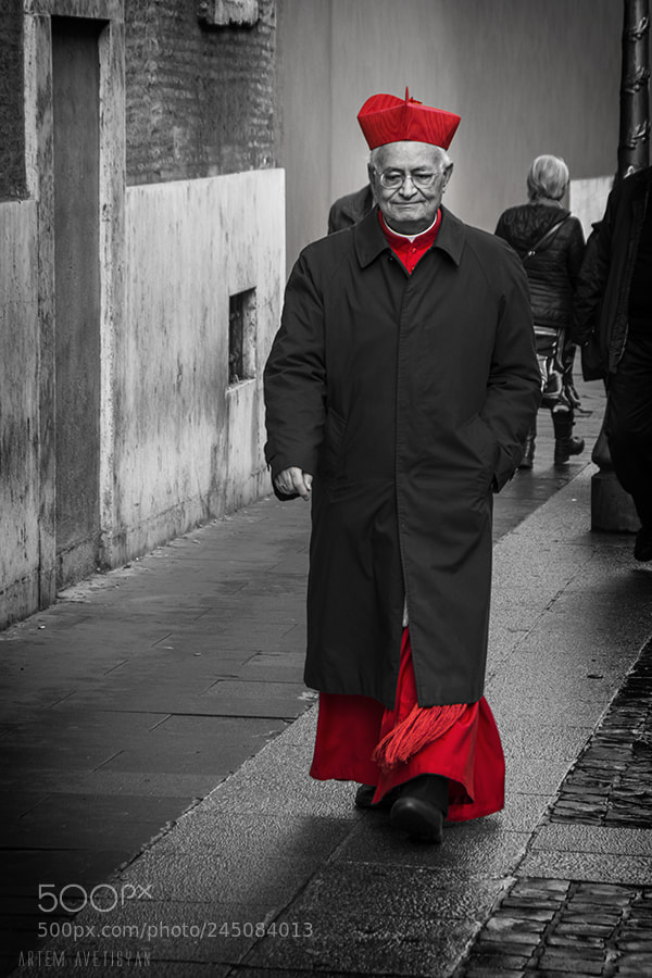 Nikon D7100 sample photo. Red photography