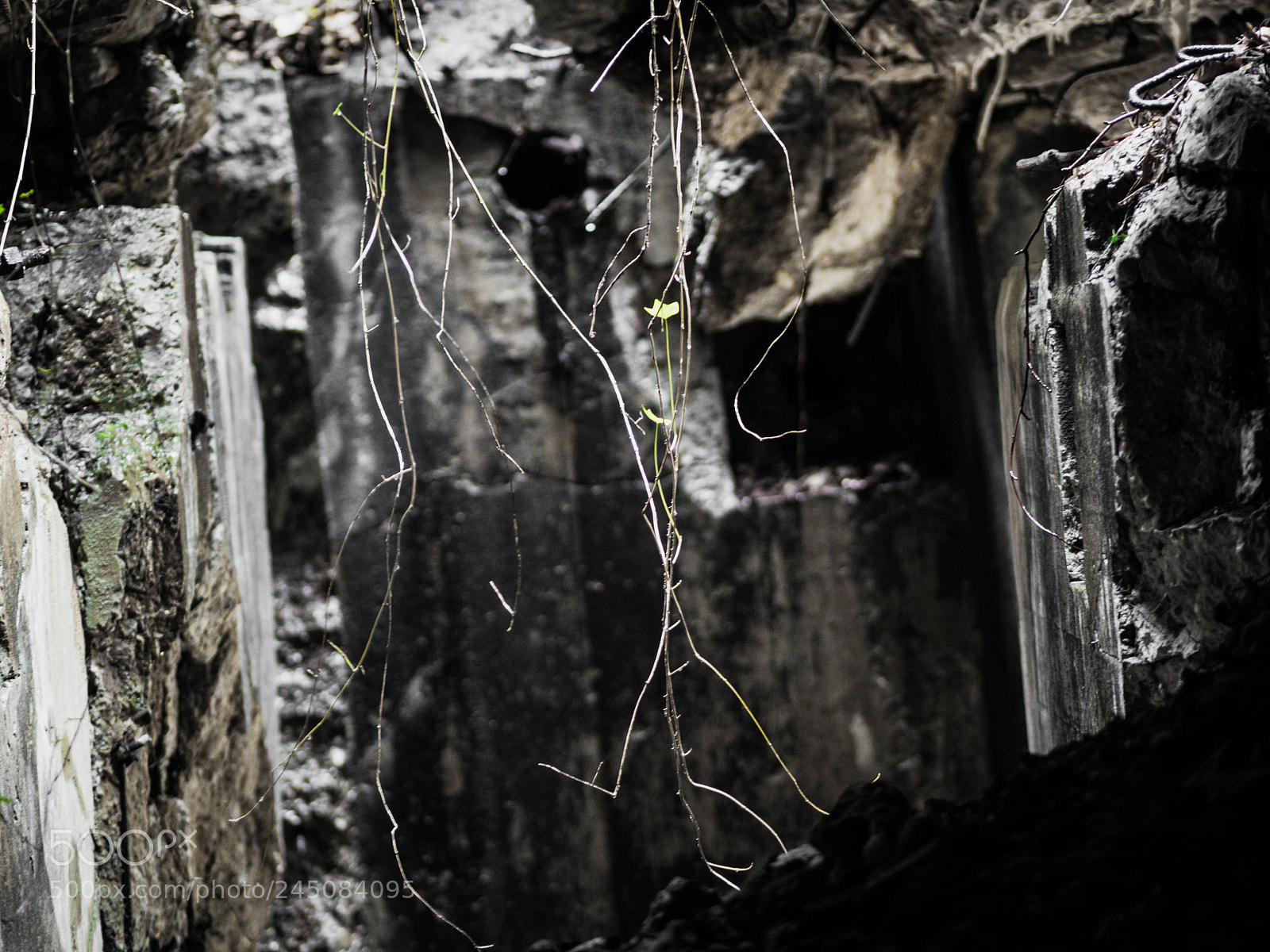 Olympus OM-D E-M5 II sample photo. Bunker tour photography