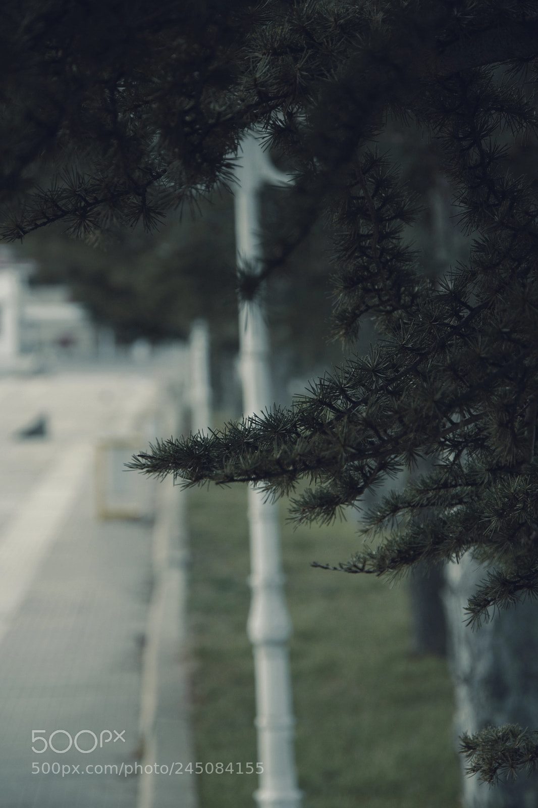 Nikon D5200 sample photo. Travel photography