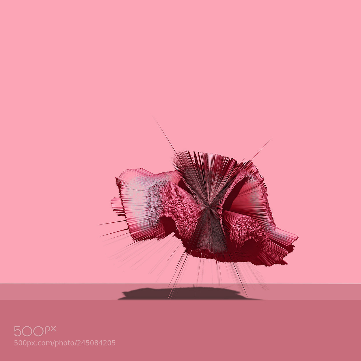 Canon EOS 5D sample photo. Exploded organ photography