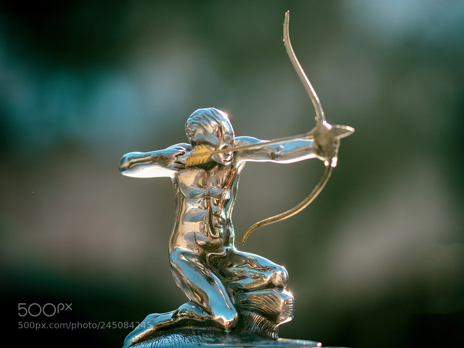 Nikon D500 sample photo. Archer photography