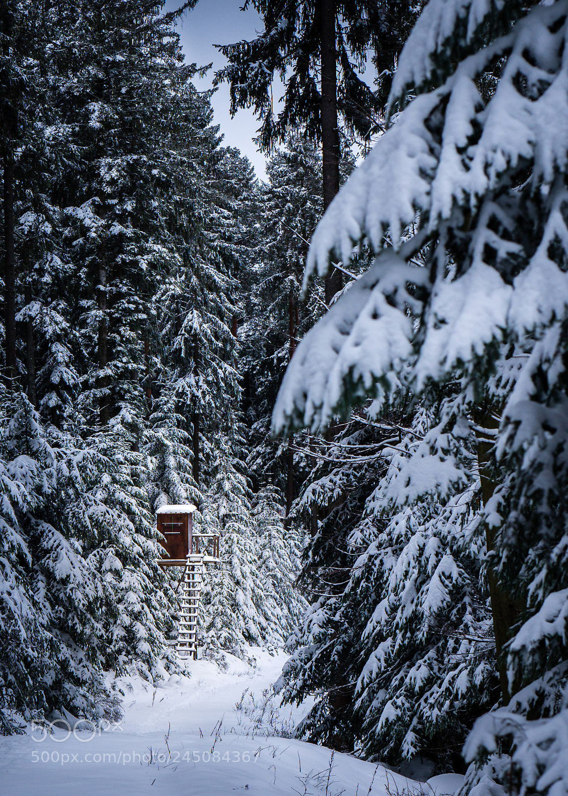 Sony Alpha a5000 (ILCE 5000) sample photo. Black forest winterwonderland photography
