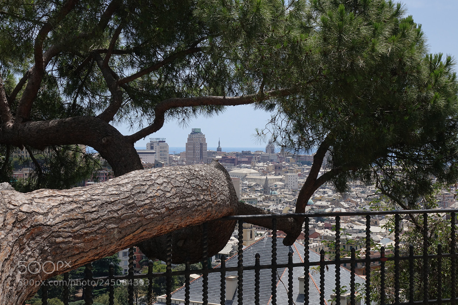 Sony Cyber-shot DSC-RX10 II sample photo. Genova photography