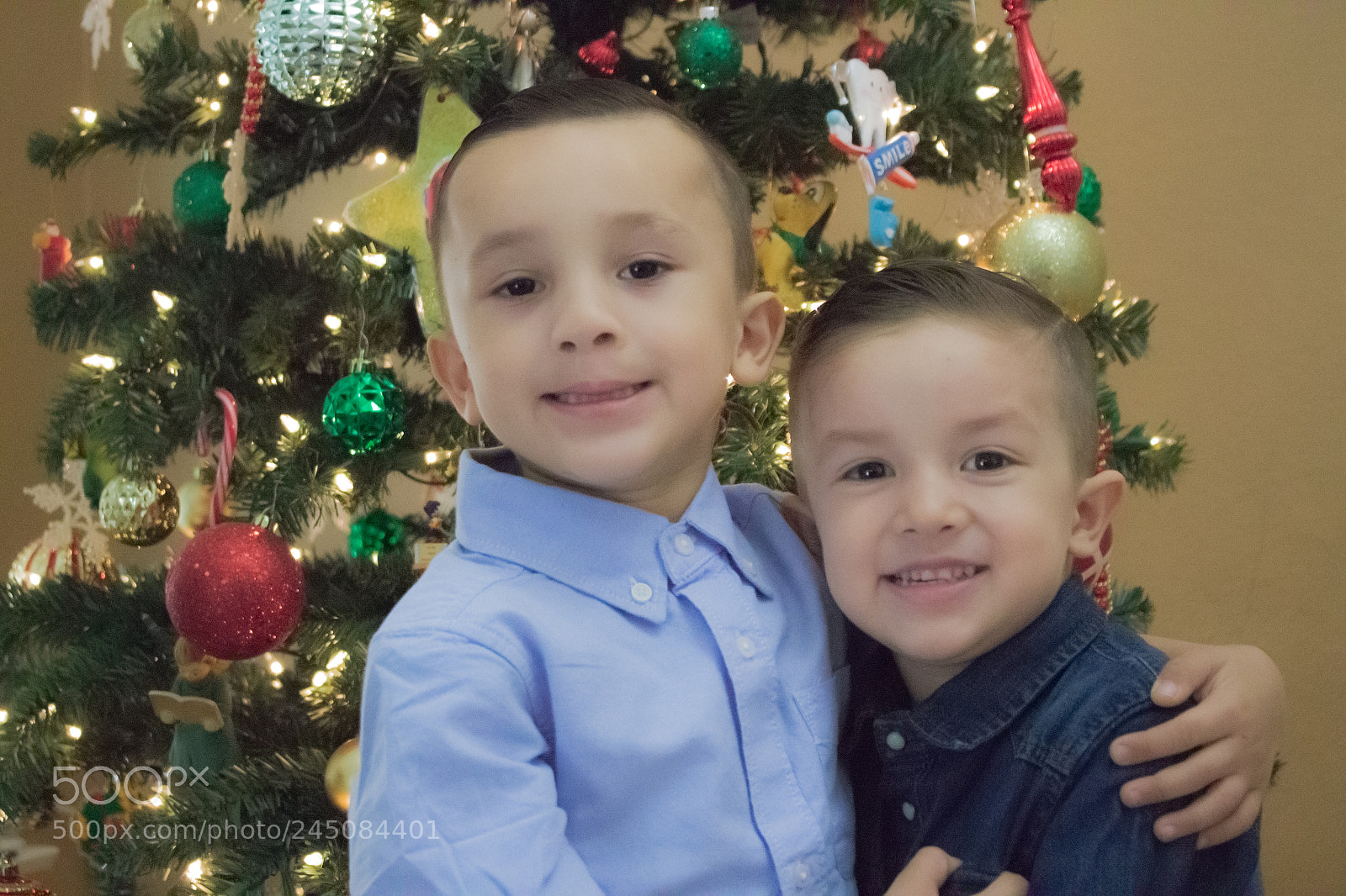 Canon EOS 700D (EOS Rebel T5i / EOS Kiss X7i) sample photo. Brotherly love photography