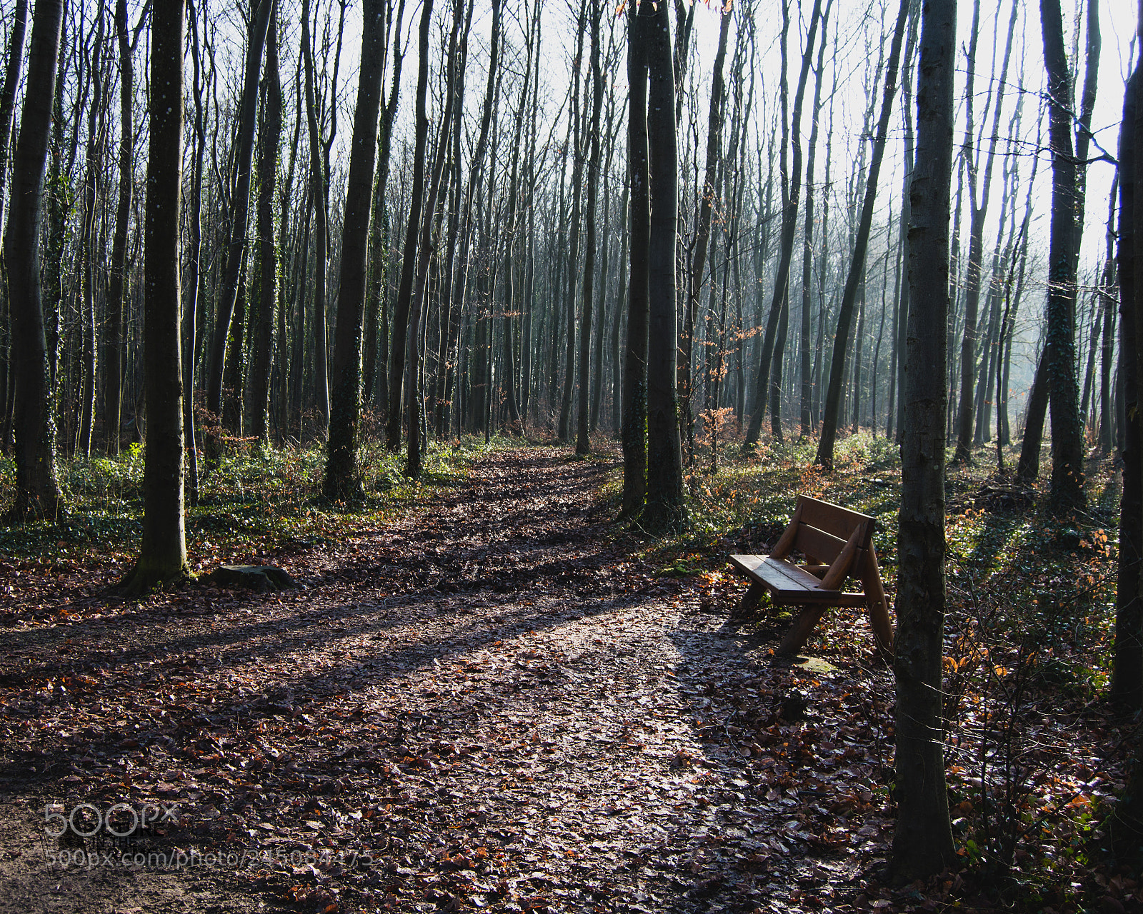 Nikon D3200 sample photo. Asseyez vous! photography