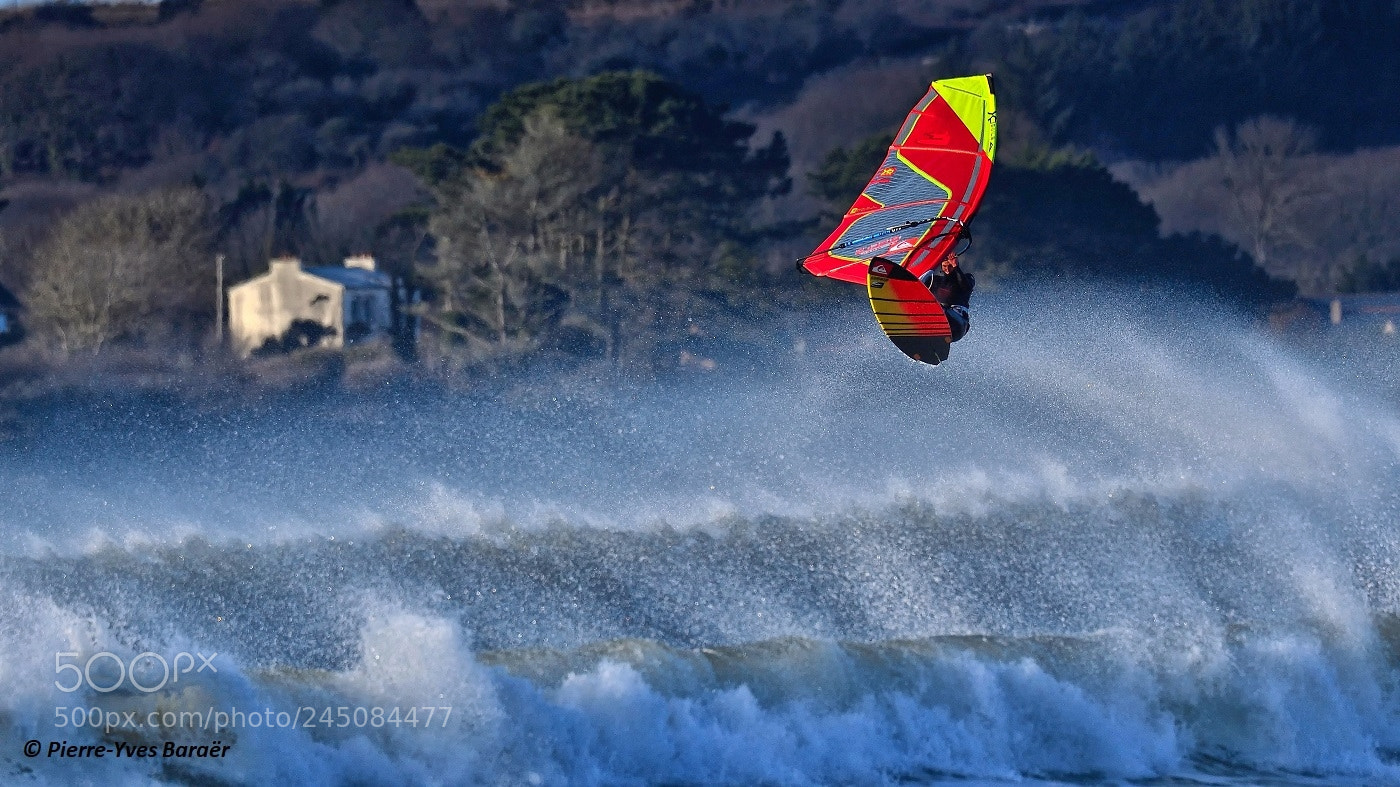Nikon D500 sample photo. Free flight... photography