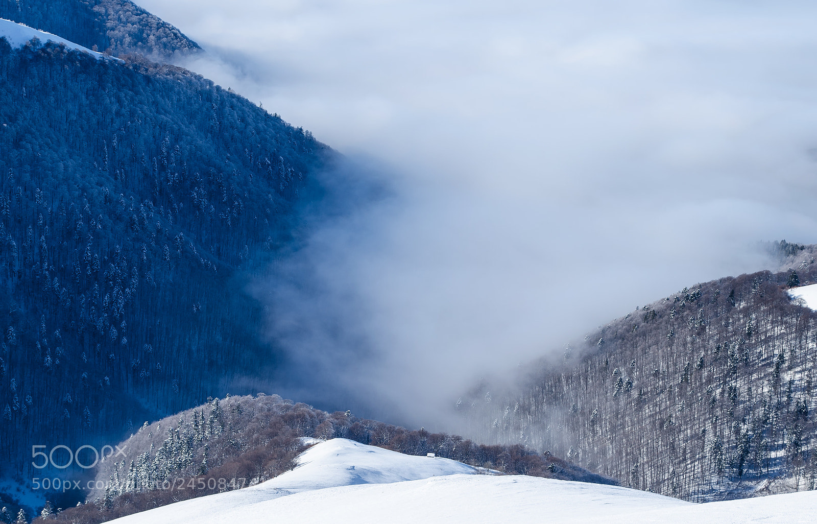 Nikon D5100 sample photo. Foggy mountain valley photography