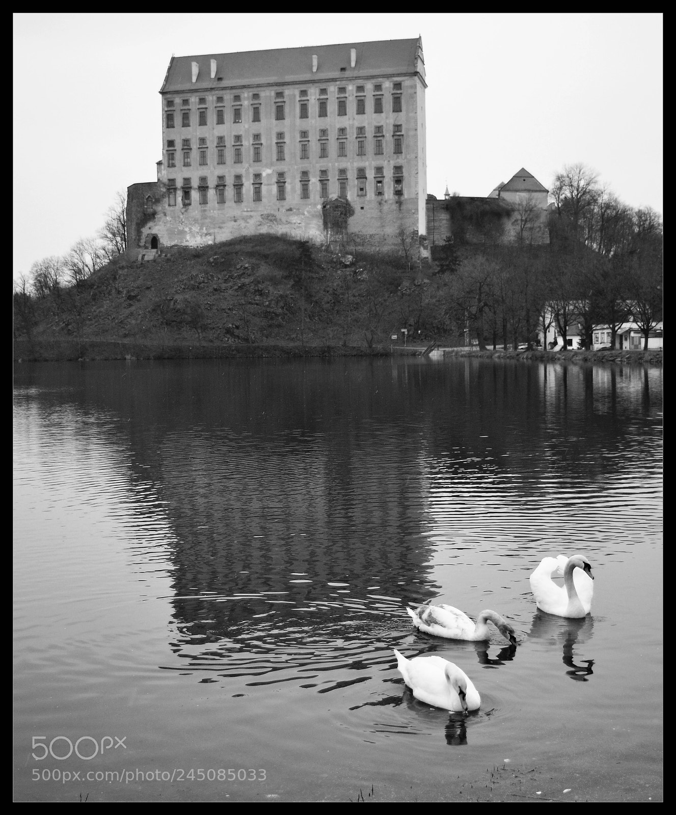 Nikon D3200 sample photo. Black and white photography