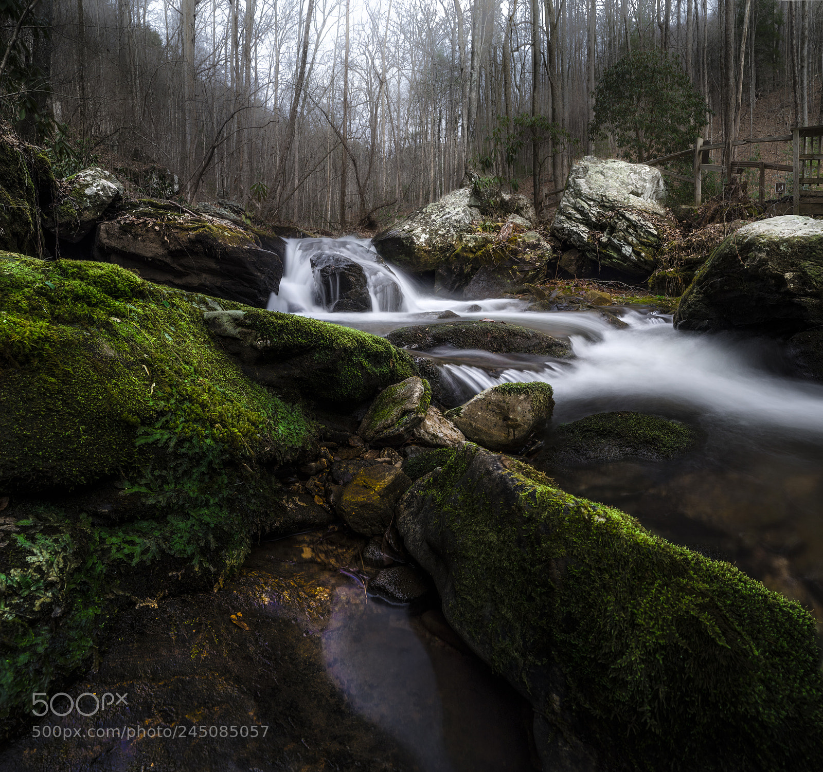 Sony a7 II sample photo. Ana ruby falls pano 2 photography