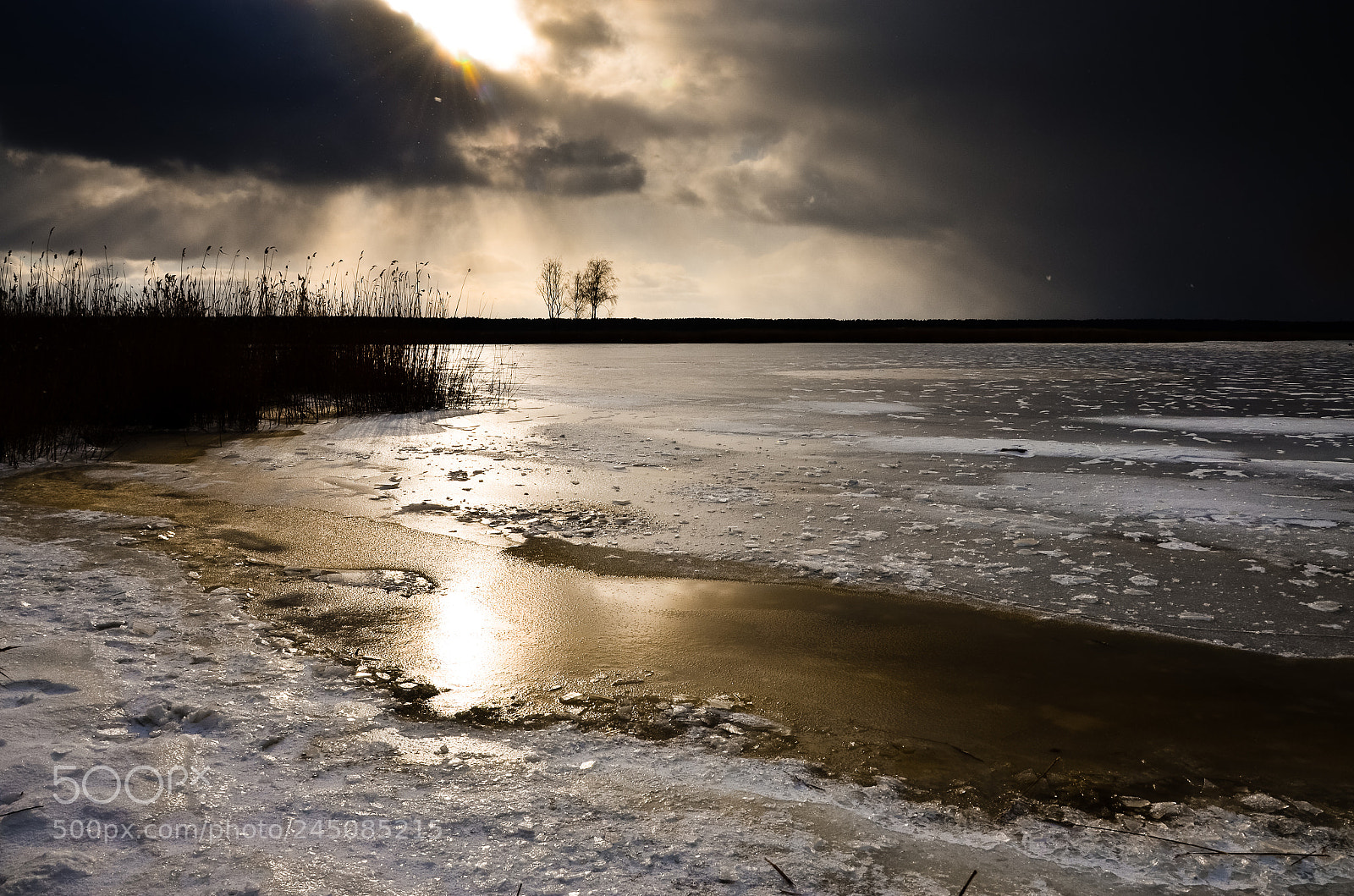 Nikon D5100 sample photo. Snowfall started photography