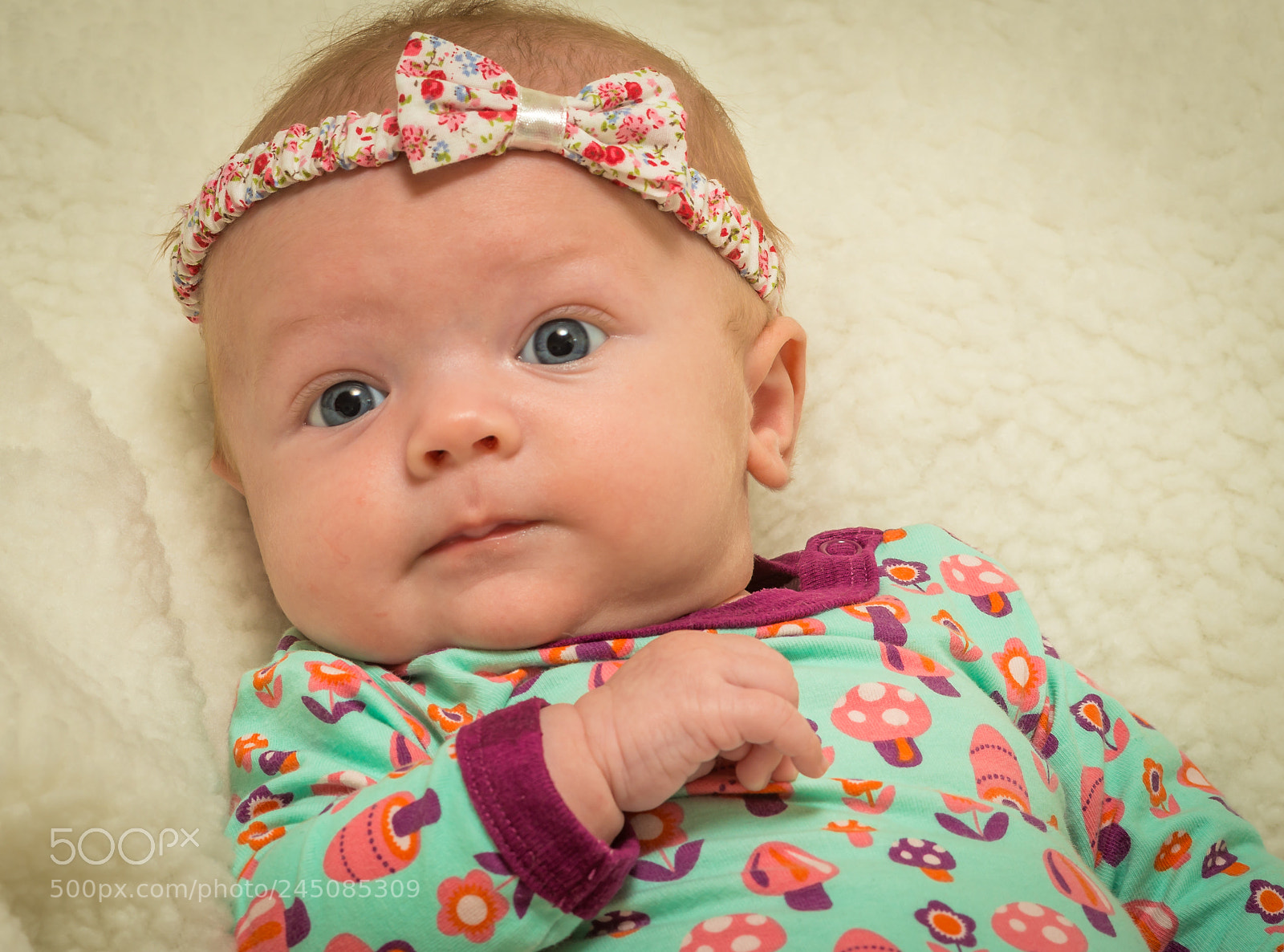 Nikon D800 sample photo. Baby allie photography