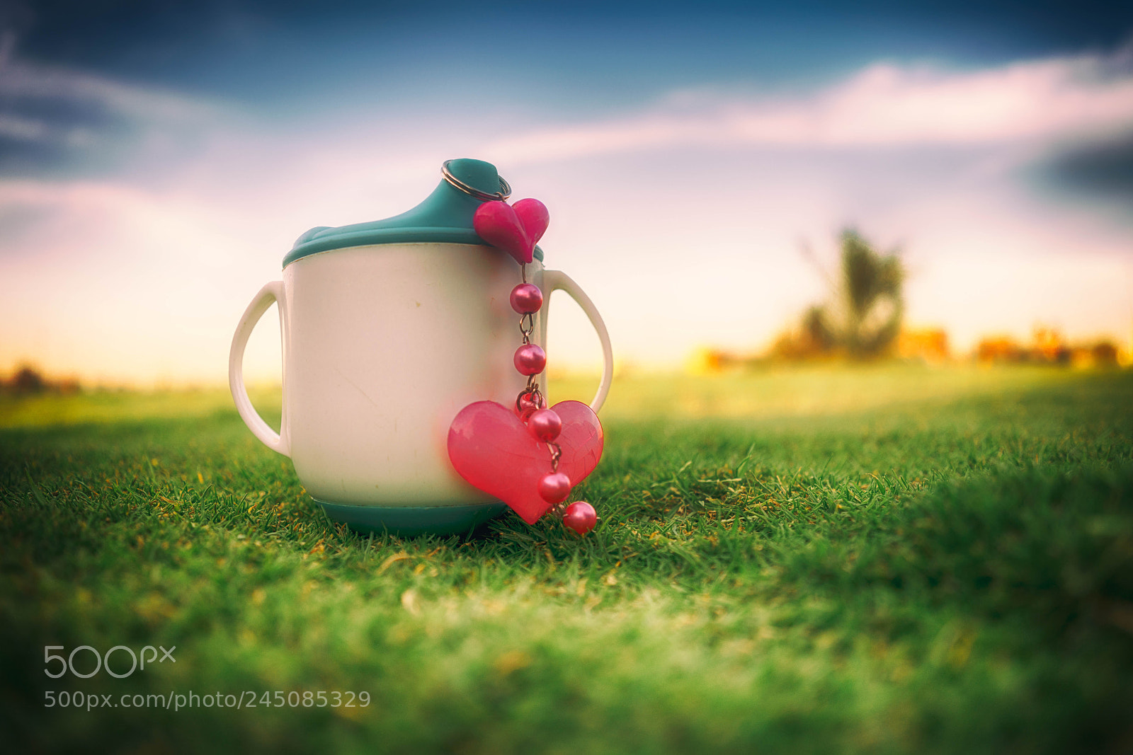 Sony a7R II sample photo. Staystill photography
