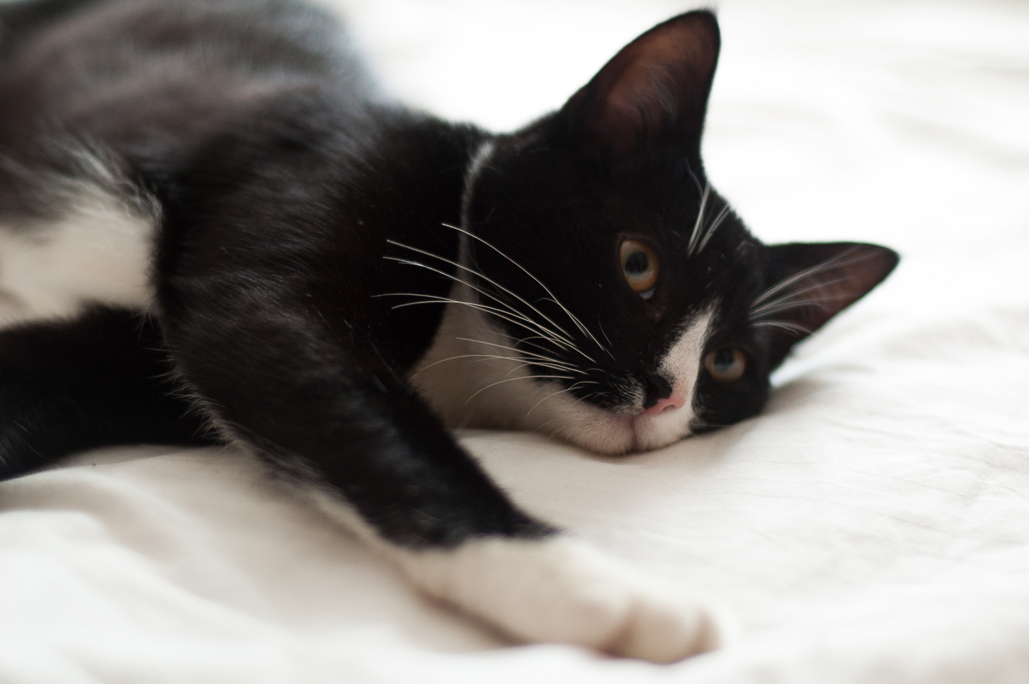 v2?sig=235a6cff2b9351878770e50b44109afcca844e5863c37560ed4186cc68fb95a1