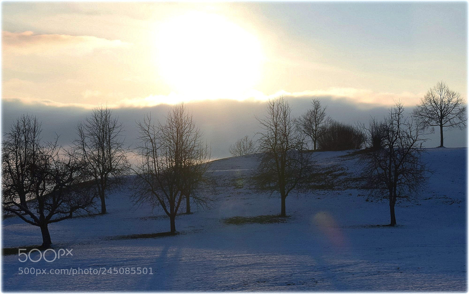 Nikon D7200 sample photo. "evening-down" photography