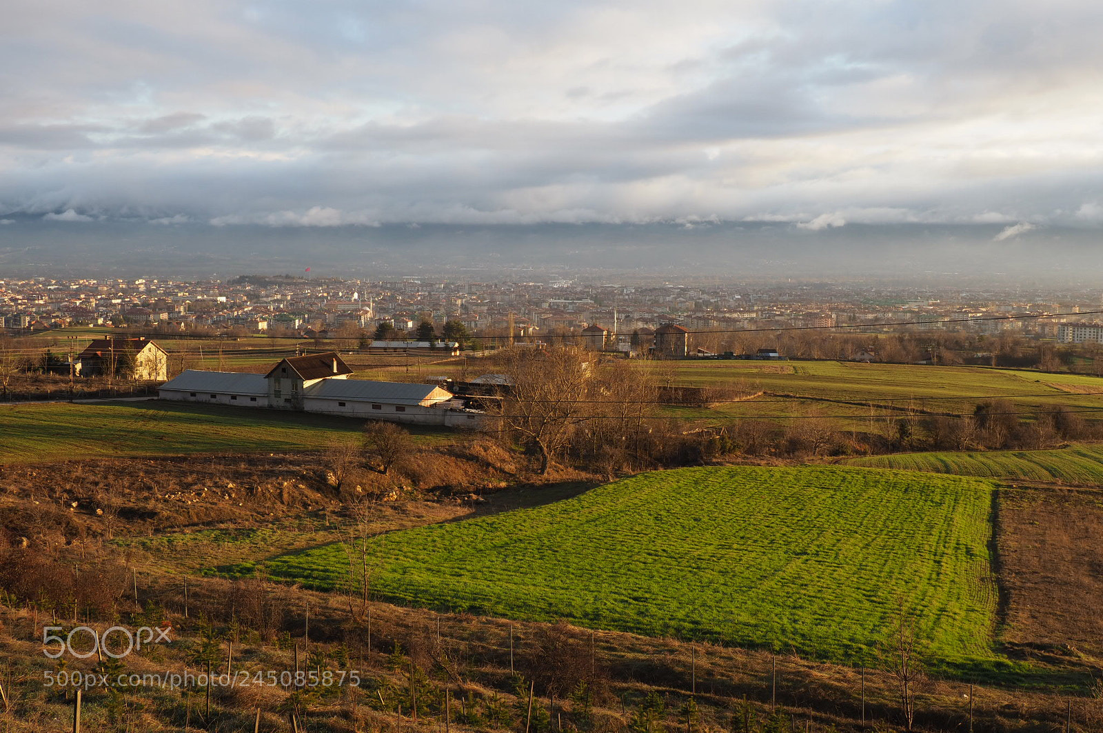 Olympus OM-D E-M1 Mark II sample photo. View of green photography