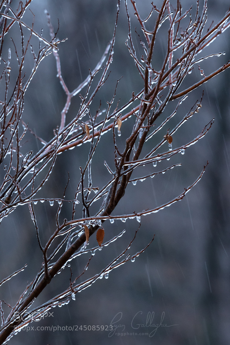 Canon EOS 7D Mark II sample photo. Barely freezing photography