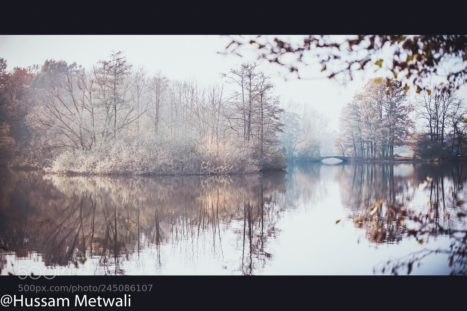 Sony a7R II sample photo. Dsc photography