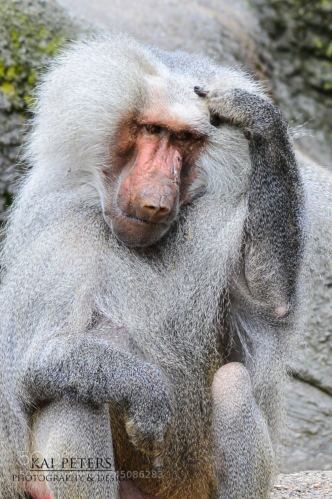 Nikon D7100 sample photo. Da muss ich mir photography