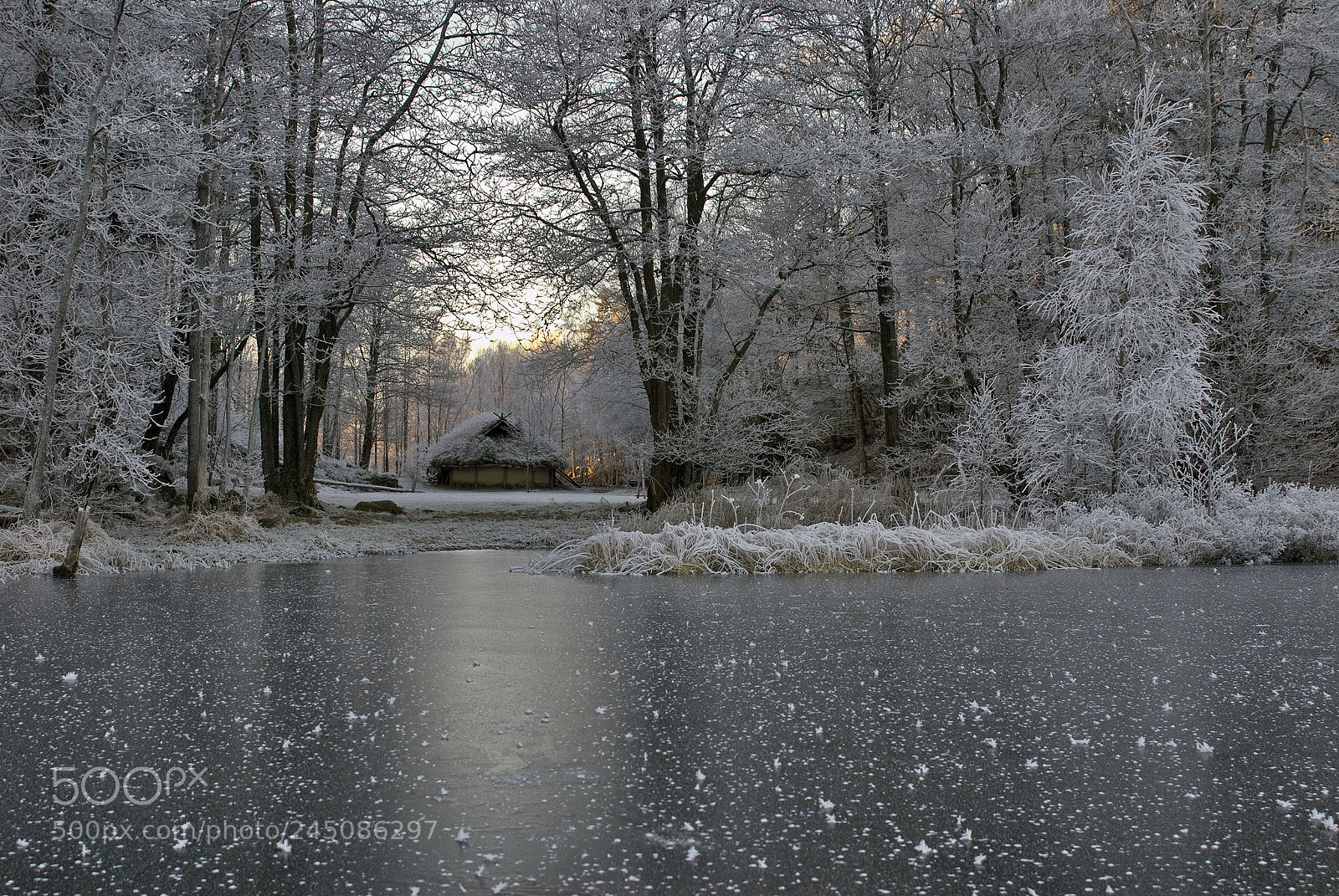 Nikon D200 sample photo. Winter at bronseplassen photography