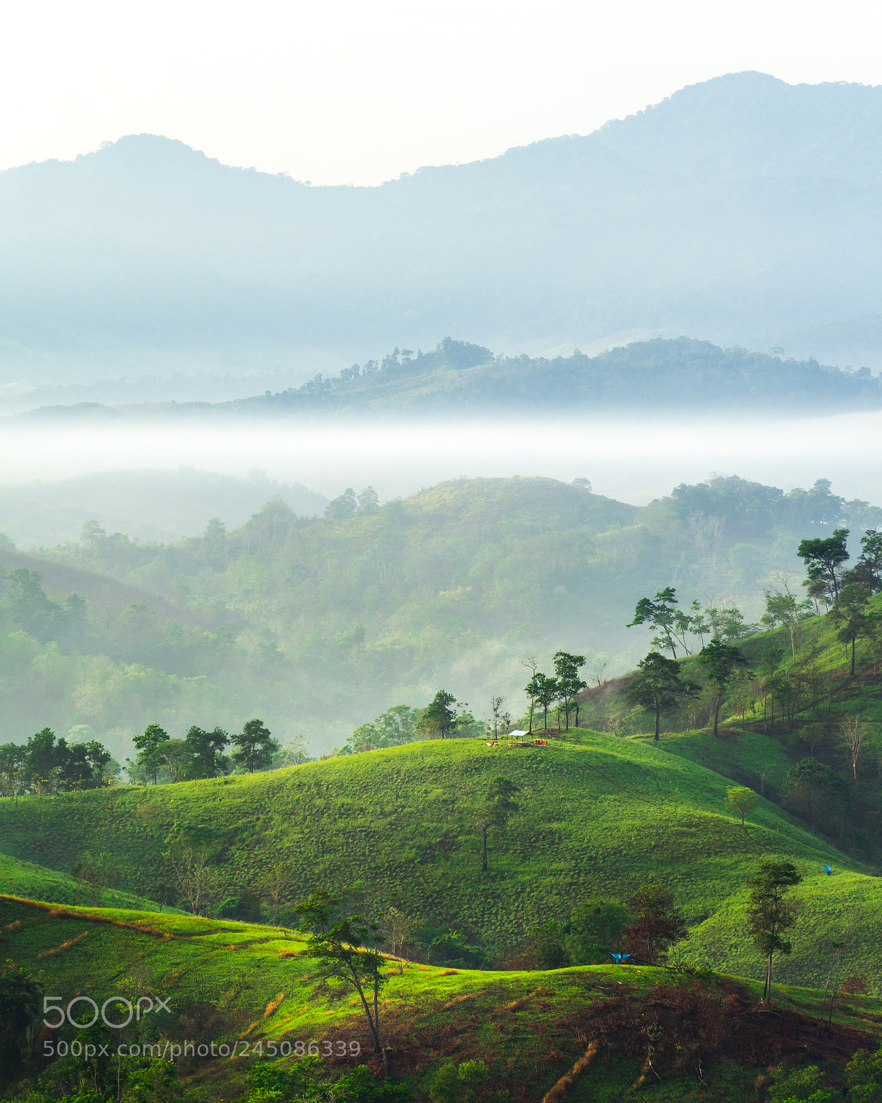 Sony SLT-A37 sample photo. Matang keladan hill photography