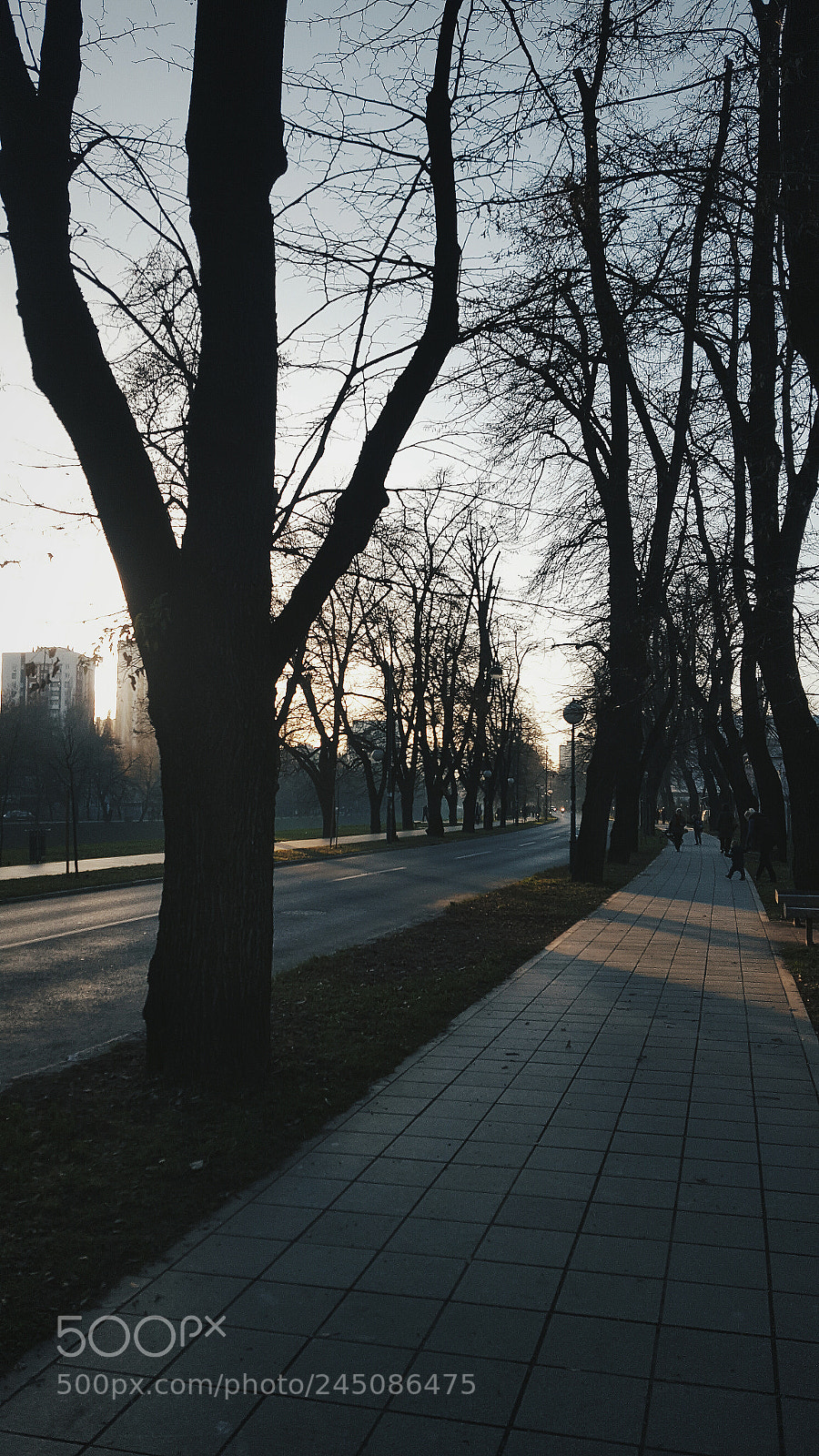 Samsung Galaxy S6 sample photo. Untitled photography