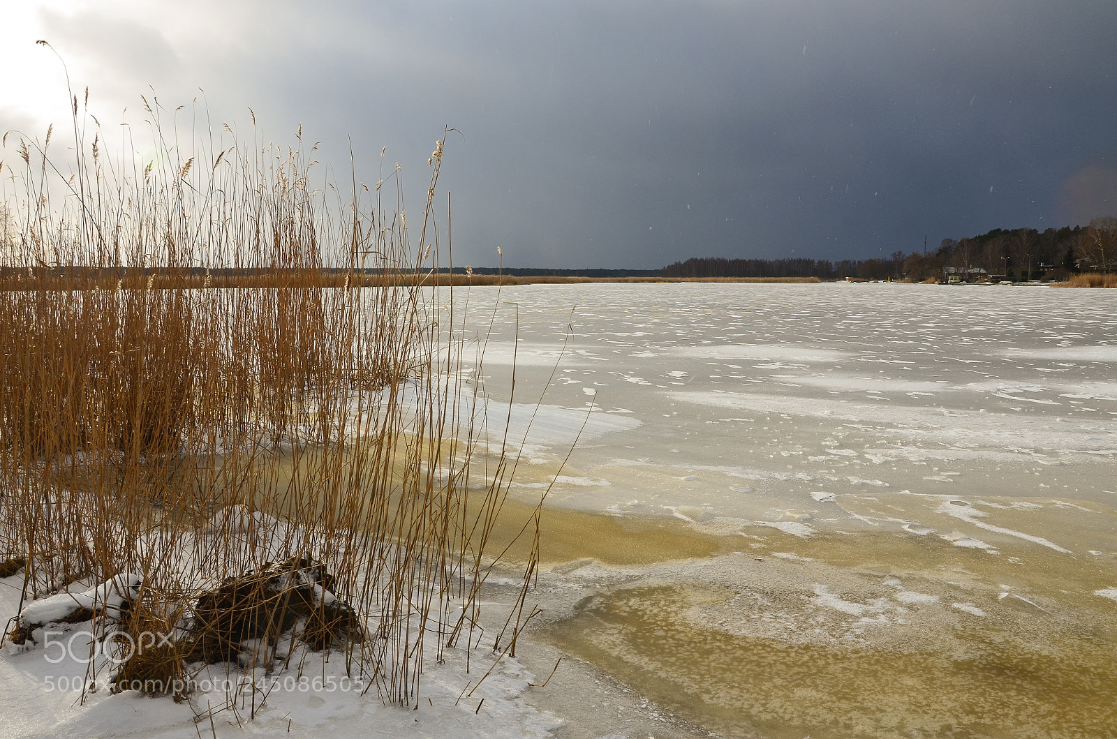 Nikon D5100 sample photo. Long and cold winter photography