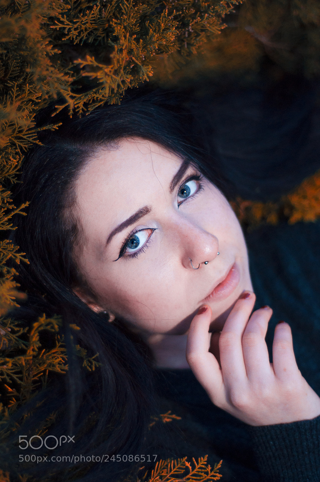 Nikon D90 sample photo. Domy photography