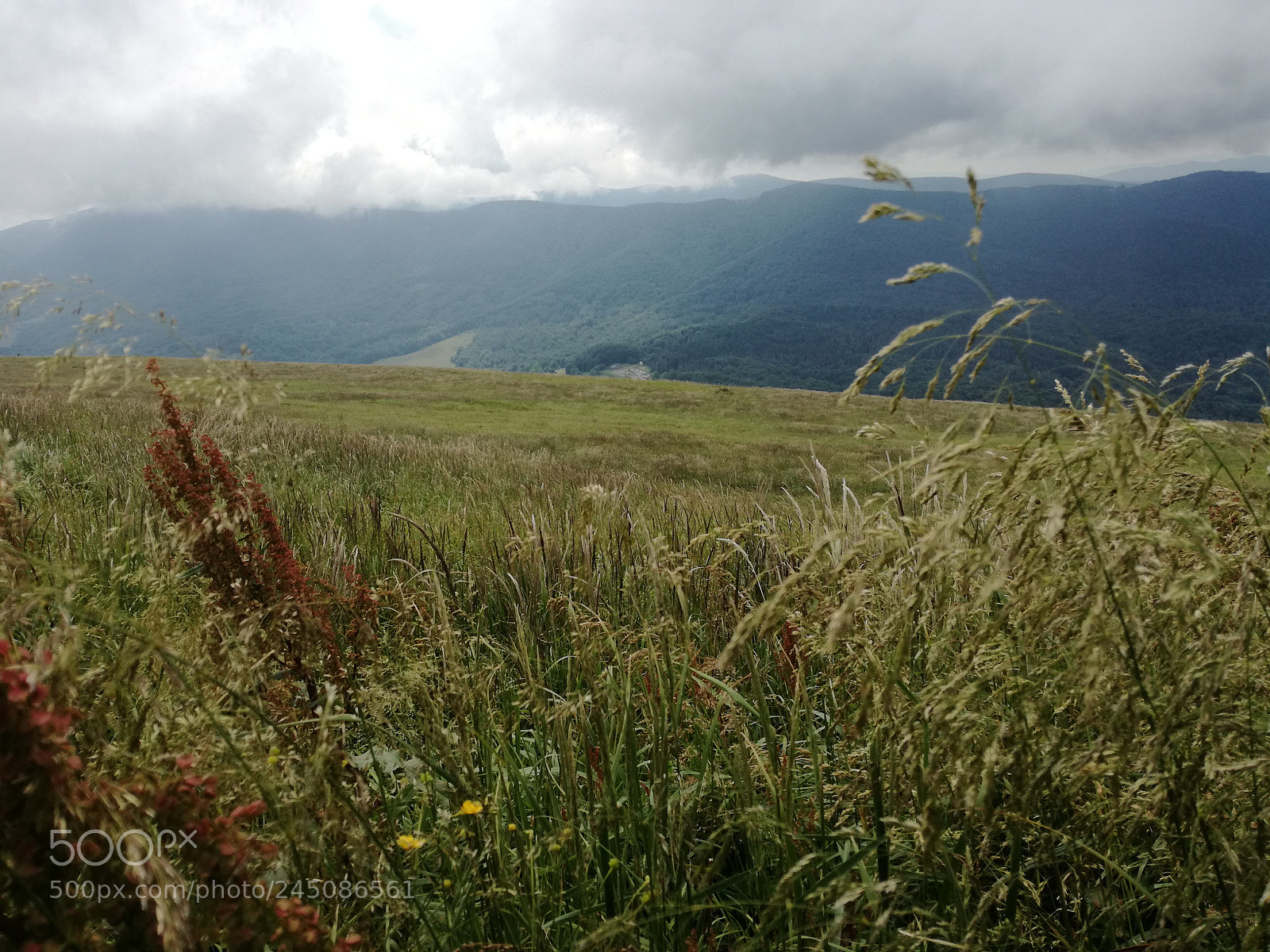 HUAWEI P9 LITE sample photo. Walk on mountain trails photography